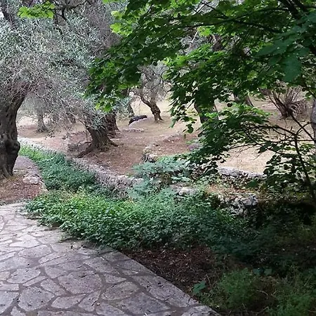 Apartamento Amalia Complex