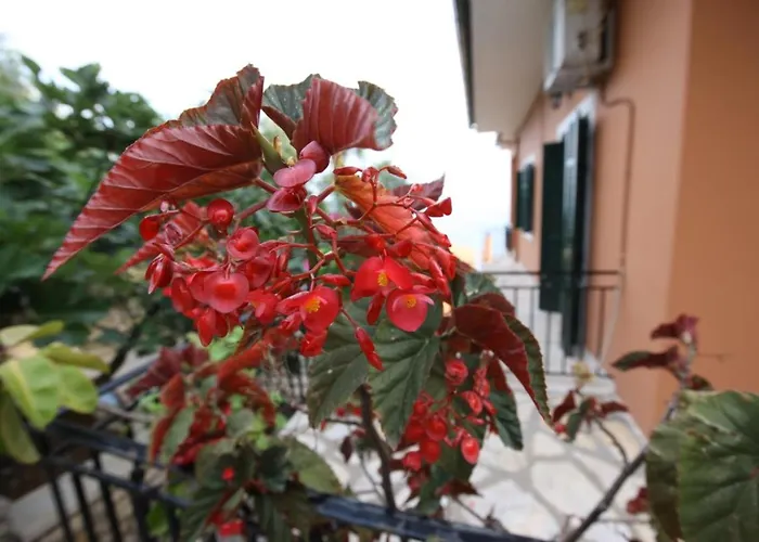 Amalia Complex Apartament Nisaki (Corfu)