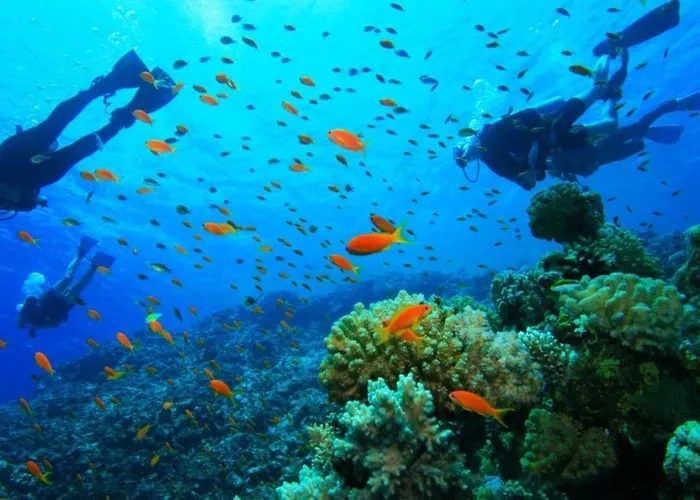 Amalia Complex * Nisaki (Corfu)