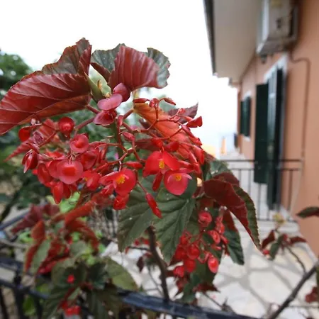 Amalia Complex Apartmán Nisaki (Corfu)