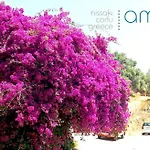 Amalia Complex Apartament