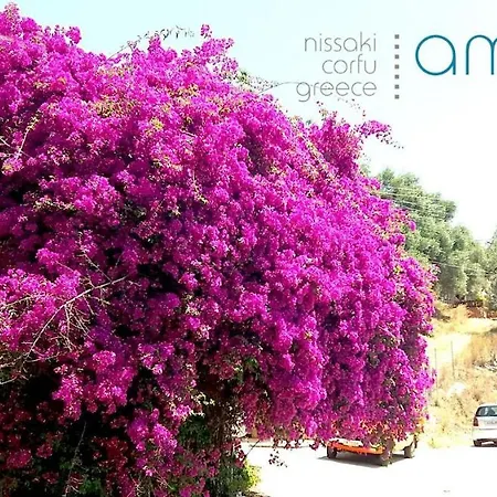 Amalia Complex Apartament