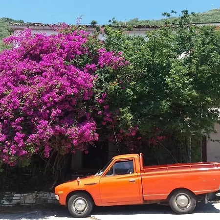 Apartament Amalia Complex