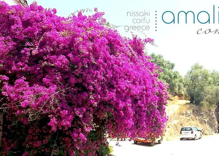 Amalia Complex Appartamento
