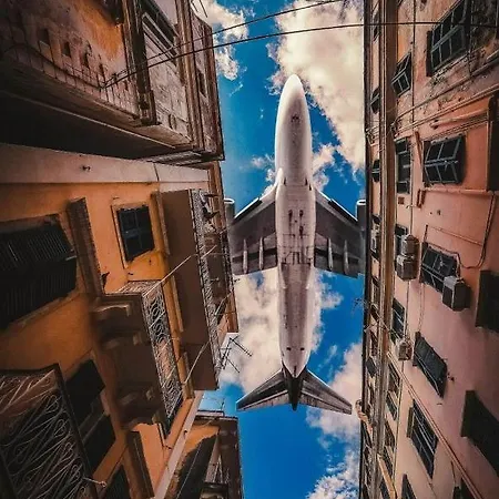 Amalia Complex Daire *