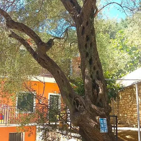 Amalia Complex דירה *